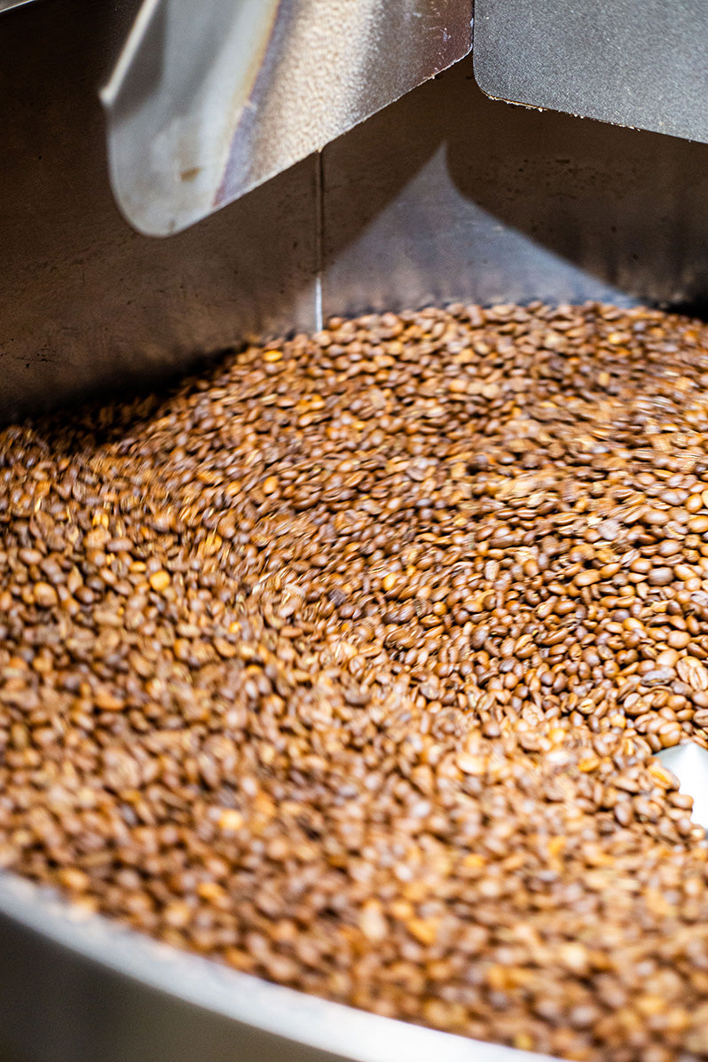 SCA Roasting Intermediate